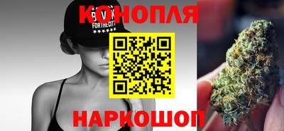 спиды Обь