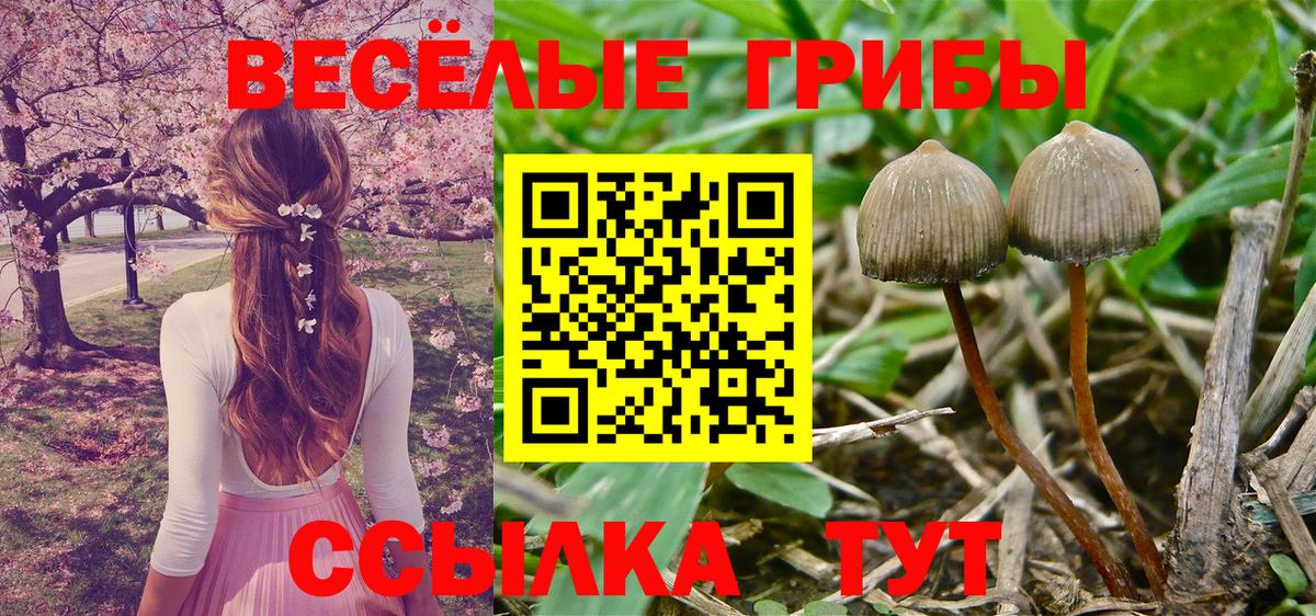 Псилоцибиновые грибы Magic Shrooms Узловая